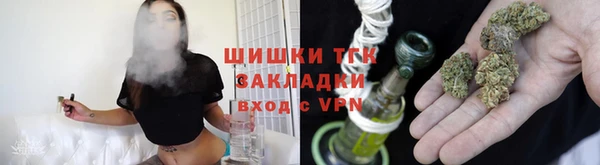 крисы Аркадак