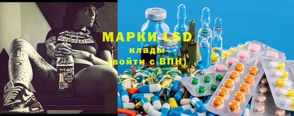 крисы Аркадак